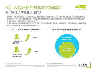 2018年中國(guó)網(wǎng)紅經(jīng)濟(jì)發(fā)展研究報(bào)告 網(wǎng)絡(luò)技術(shù)開(kāi)發(fā)與信息咨詢(xún)的驅(qū)動(dòng)力量